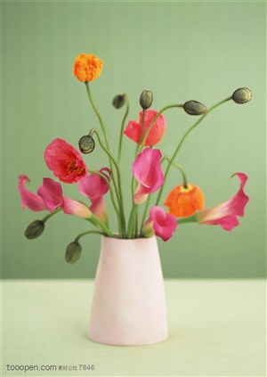 家俱饰品-白色陶瓷花瓶里插着罂粟花