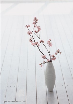 家俱饰品-插在花瓶里的一枝桃花、梅花特写