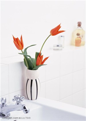 家俱饰品-放在洗手盆边上花瓶里的花朵