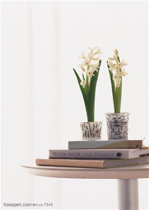 家俱饰品-放在小圆桌上的书籍和两盆水仙花
