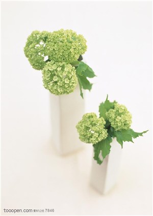 家俱饰品-两个花瓶里都插着绣球花