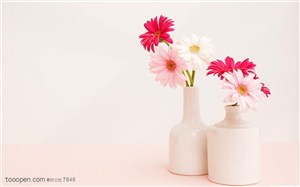 家俱饰品-两个矮的装饰花瓶里装着非洲菊