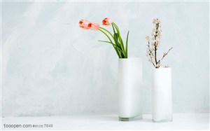 家俱饰品-两个长方形的花瓶里装着花朵
