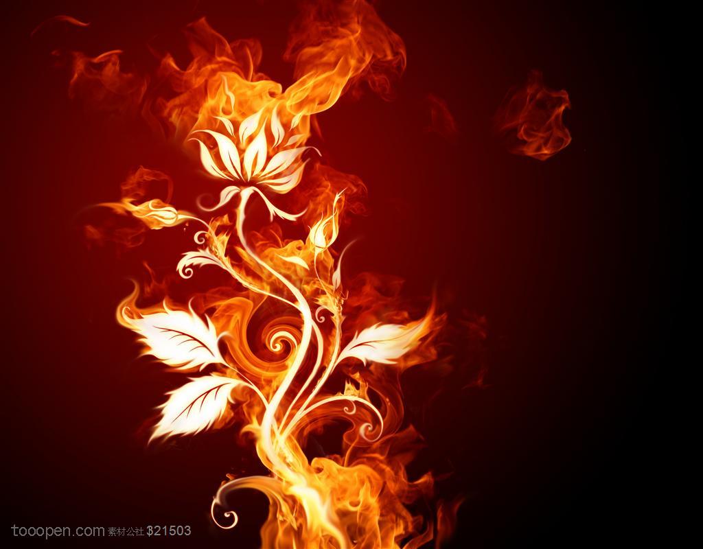 火焰-玫瑰花火焰形状特写