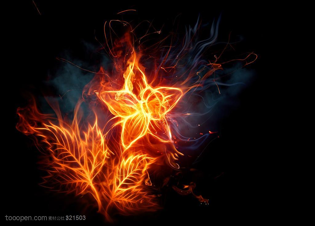 火焰-盛开的火焰五角星花朵特写