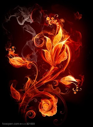火焰-花卉火焰图形特写