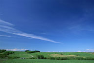 蓝天白云与草地上的公路