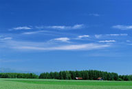 蓝天白云与草地上的房屋