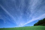 稀疏的白云与蓝天下的绿地