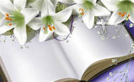 书本旁摆放着白色的百合花