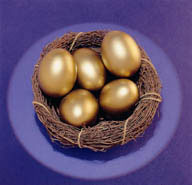 鸟巢内的金蛋