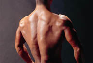 男性健肌特写-偏黄的后半身肌肉