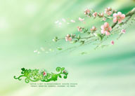 绿色系的梅花树枝的优美朦胧梦幻背景模板
