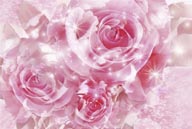四季鲜花CG背景-玫瑰花束