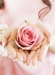 甜蜜婚礼-手中的粉色玫瑰花