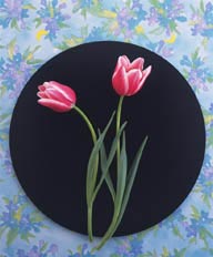 花艺大餐-黑色盘中的红色郁金香