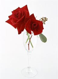 花的彩绘-两朵美丽的玫瑰