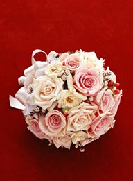 情人节物语-漂亮的粉色玫瑰