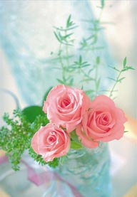情人节花物语-三朵粉色的玫瑰