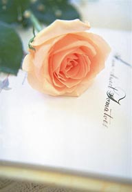 情人节花物语-书本上的玫瑰