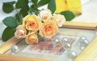 情人节花物语-相框上的黄色玫瑰