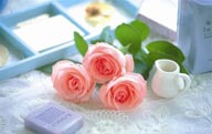 情人节花物语-桌面上的粉色玫瑰