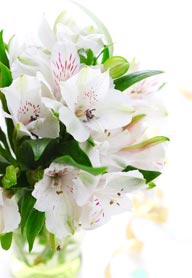 精美的鲜花图片——花瓶里的百合花