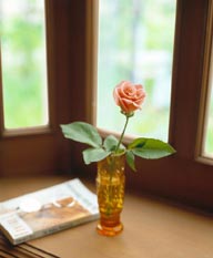 室内角落桌子上的书本和瓶中玫瑰