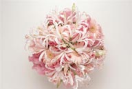 插花物语-粉色的百合花球