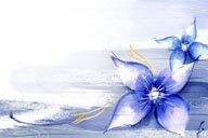 手绘花纹-水彩画背景上的彩绘蓝色花朵