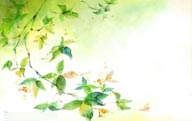 低碳环保植树节背景-手绘水彩插画夏季翠绿的树叶枝条