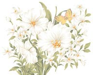 手绘水彩画白色花百合花鲜花和蝴蝶花束