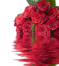情人节元素水中冒出的一束大红色玫瑰